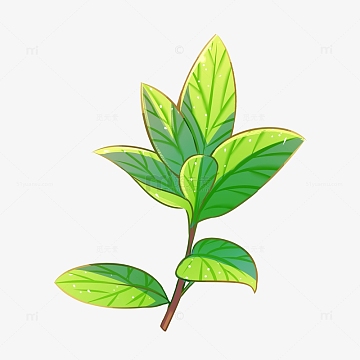 春天手绘叶子树枝