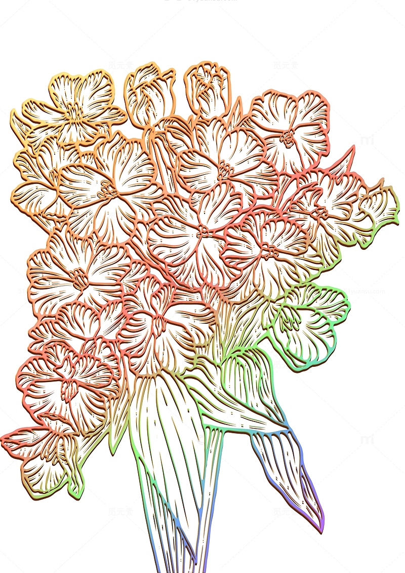 花卉渐变色包装线稿插画
