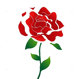 妇女节玫瑰花装饰元素