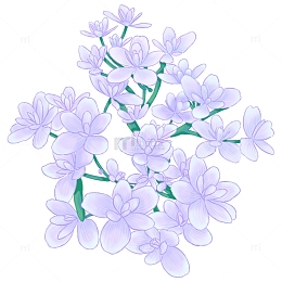 花朵绣球樱花春天立春迎春手绘元素图