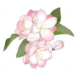 春天唯美手绘海棠花