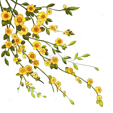 迎春花黄绿藤曼元素春天