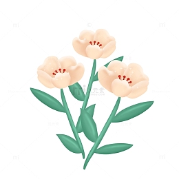 春天小清新绿植花朵鲜花花草素材