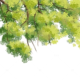 春天绿色植物树叶