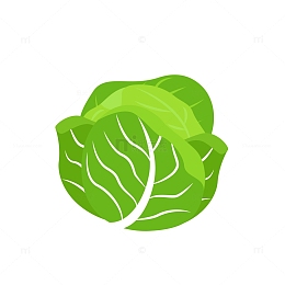 绿色卷心菜蔬菜卡通手绘图