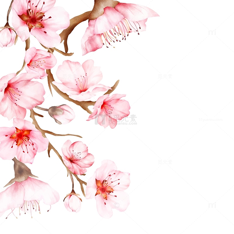 春天花朵树枝桃花手绘花朵