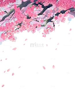 立春樱花桃花樱花树飘落的樱花粉色樱花