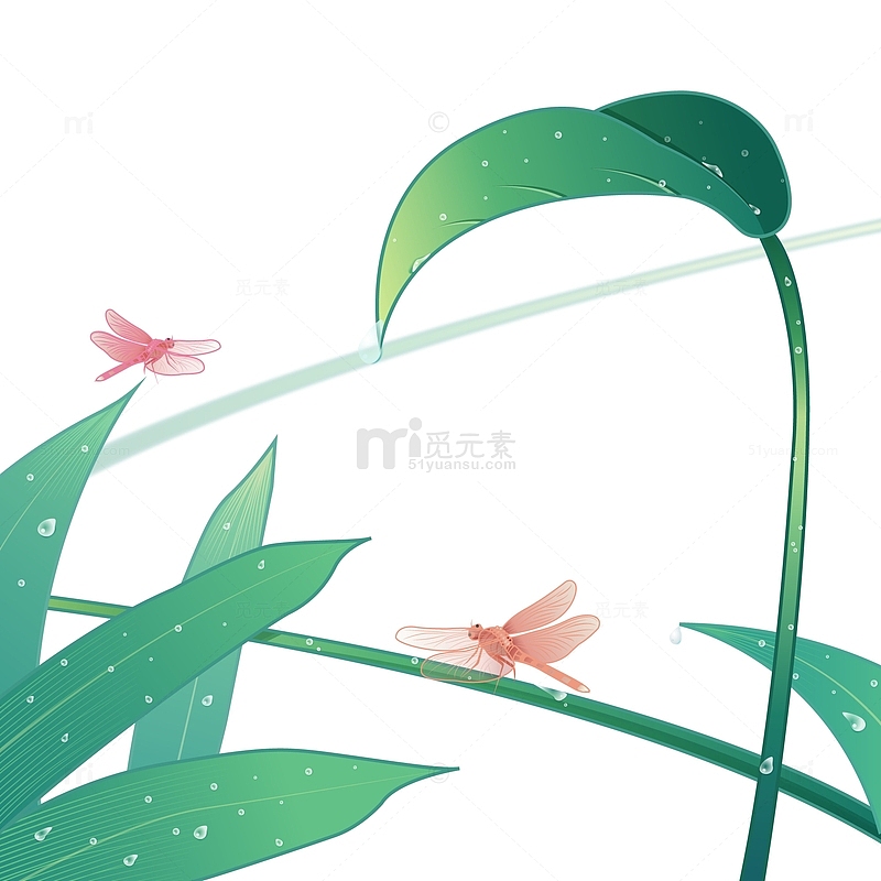 雨水节气雨点水珠树叶蜻蜓卡通手绘
