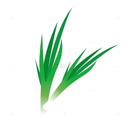 绿色卡通大葱手绘图