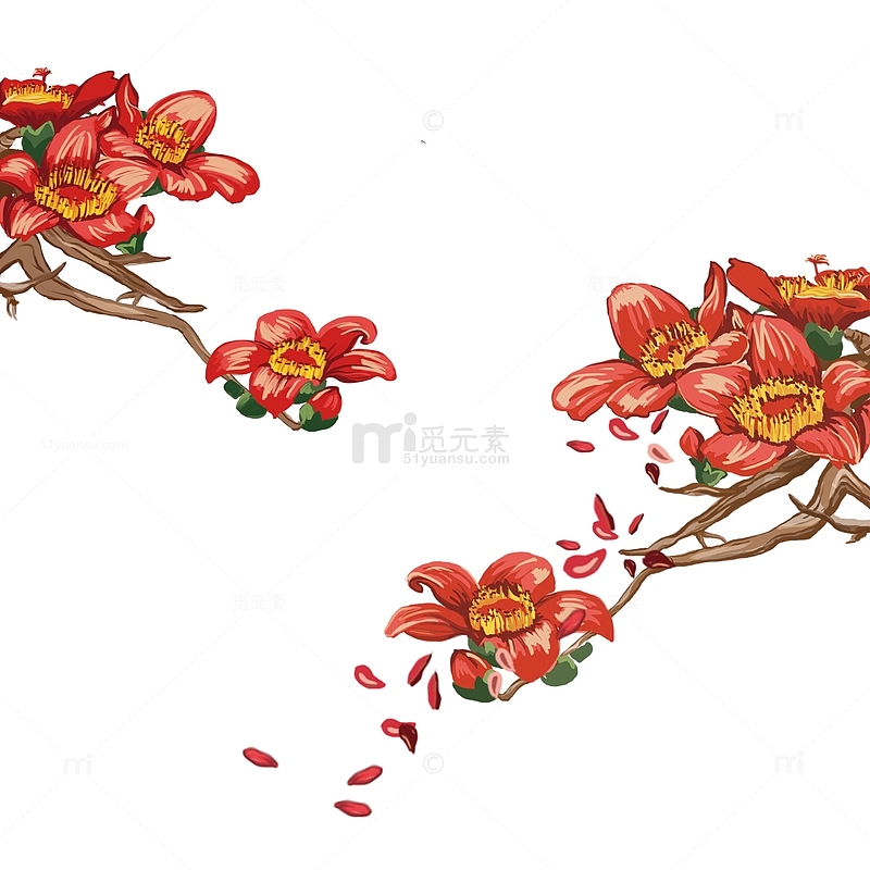 春天红色花朵攀枝花木棉花手绘元素