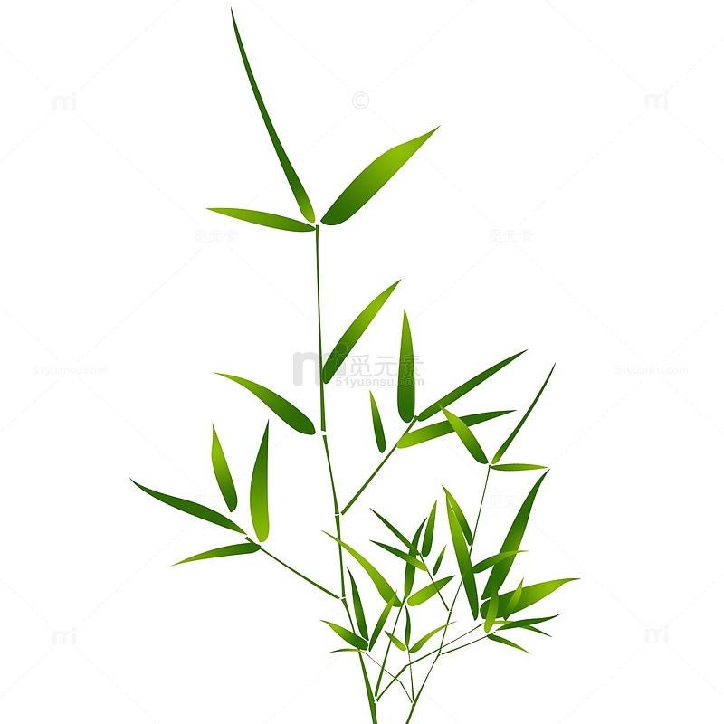 惊蛰节气植物竹叶元素