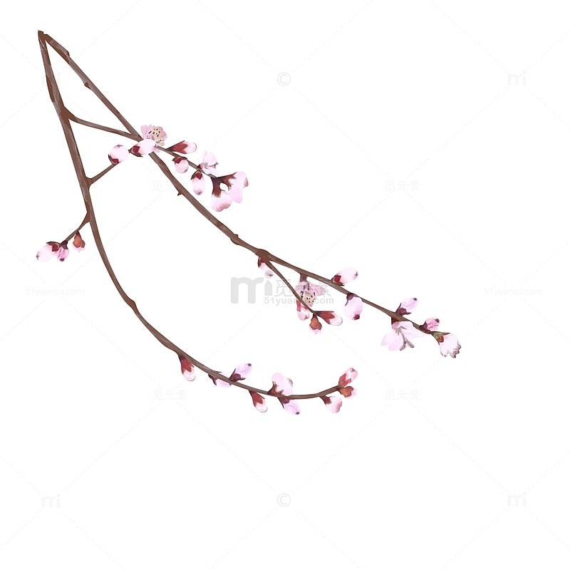 粉红桃花枝植物春天元素惊蛰植树节手绘