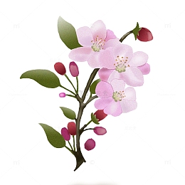 春天粉色花朵手绘