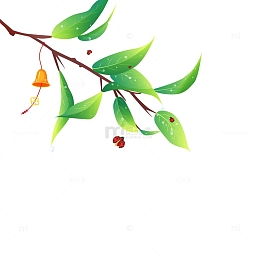瓢虫昆虫风铃树枝雨水水滴春天花草万物复苏