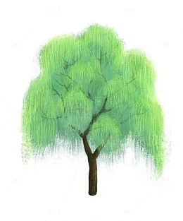 惊蛰春天植物柳树发芽元素