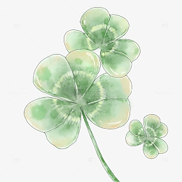 水彩手绘三叶草