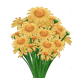 春季写实一束小黄花太阳花