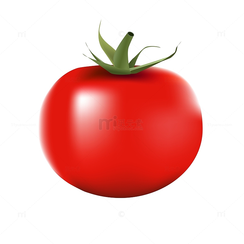 矢量单个西红柿