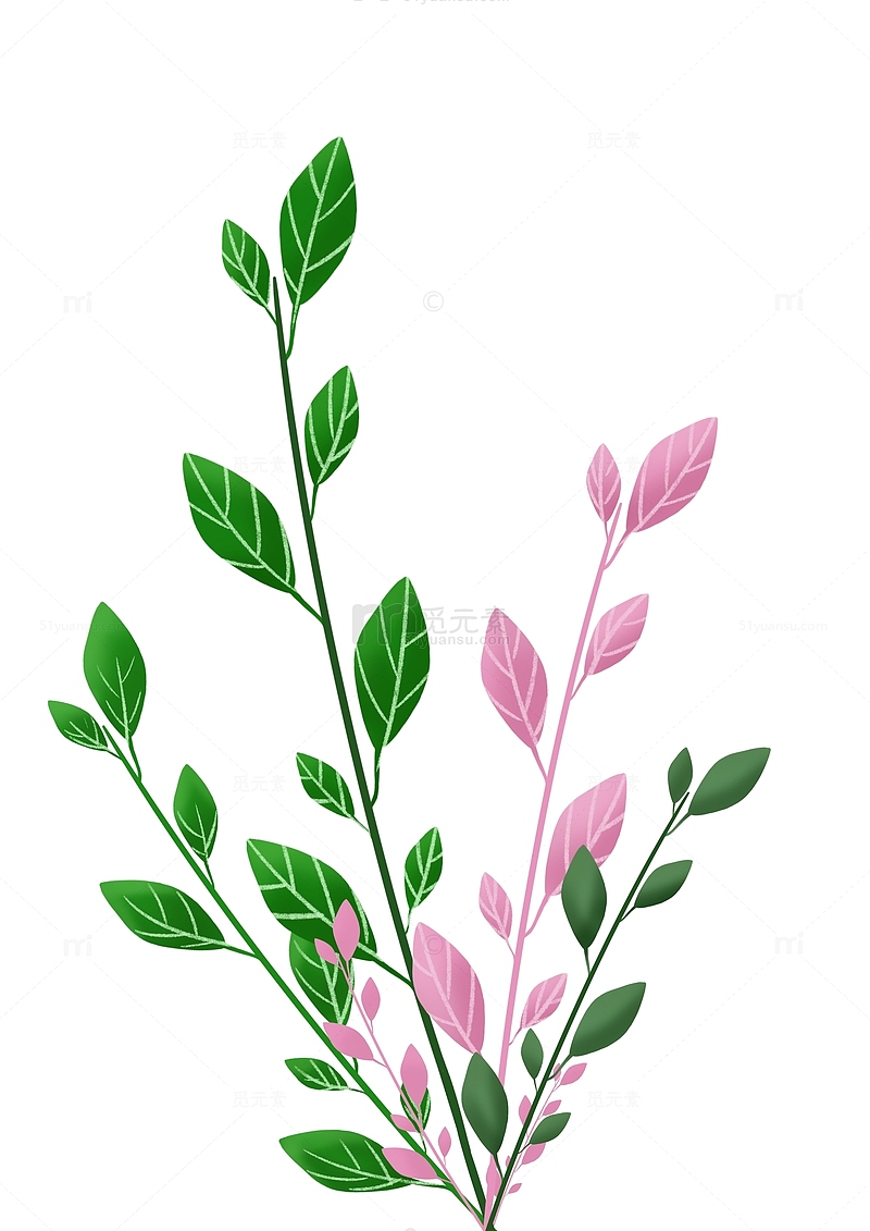 粉绿色植物树枝元素插画