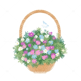 手绘一篮子春天野花太阳花小雏菊惊蛰花卉