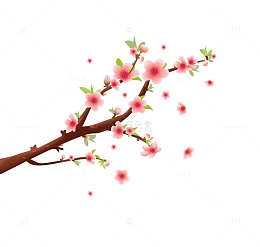 春天手绘桃花樱花花卉海报装饰