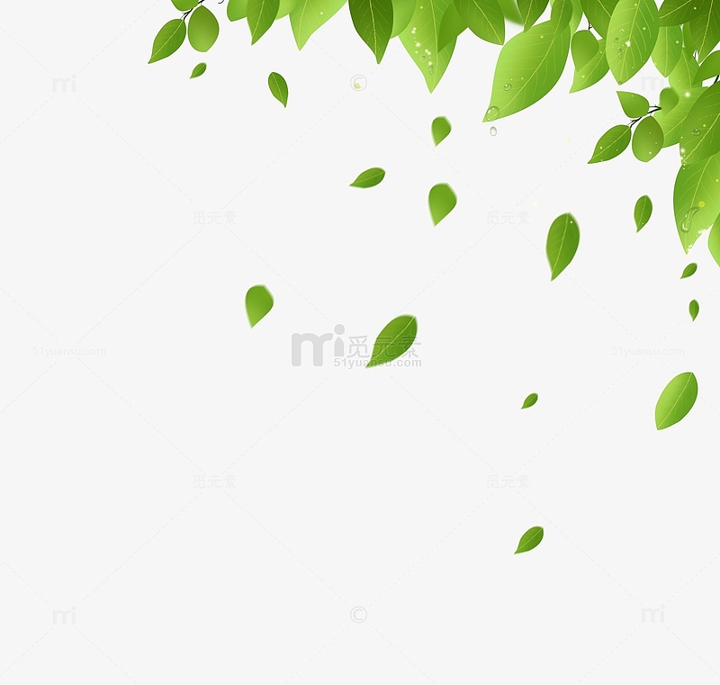手绘春天嫩绿色树叶叶子漂浮装饰元素