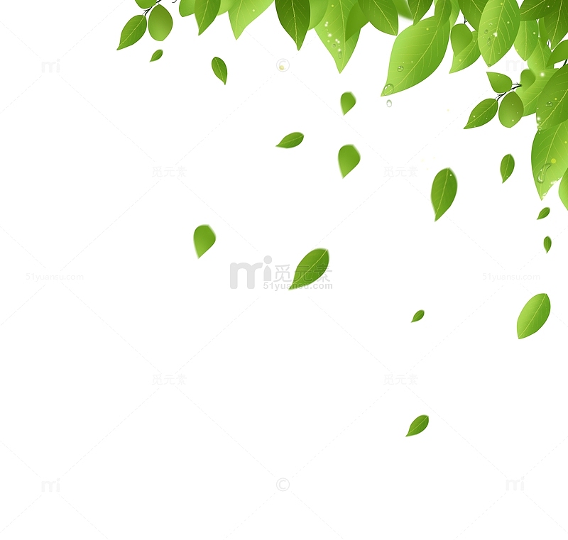 手绘春天嫩绿色树叶叶子漂浮装饰元素