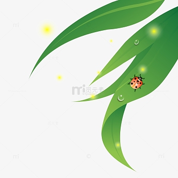 小清新雨过天晴树叶矢量插画
