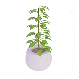 3D立体春天盆栽花盆植物绿植花卉卡通