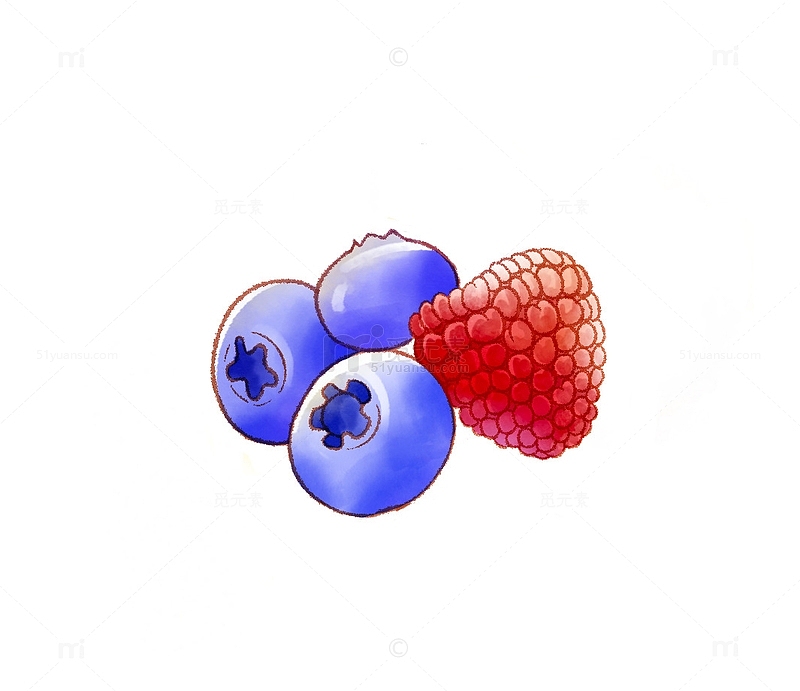 蓝莓树莓水果水彩风手绘插画