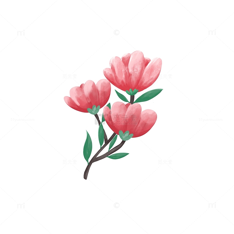 手绘水彩粉色小花春分花朵树叶元素