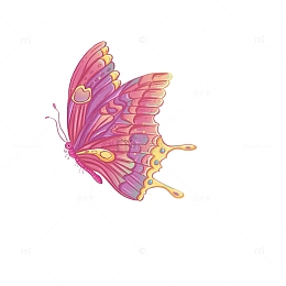 春天春季彩色蝴蝶中国风国潮