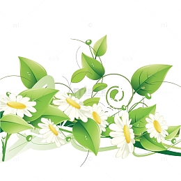 春天春季春分花朵藤蔓绿叶梦幻矢量花朵