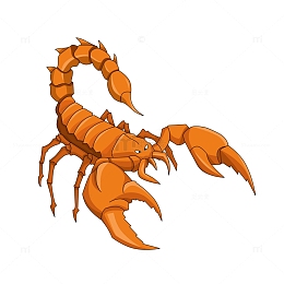 昆虫蝎子卡通元素