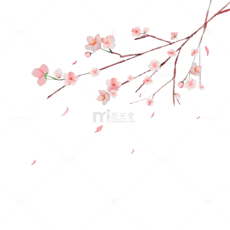 春天桃花树枝花瓣飘落气氛装饰