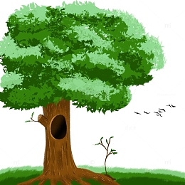 植树节树木绿色环保