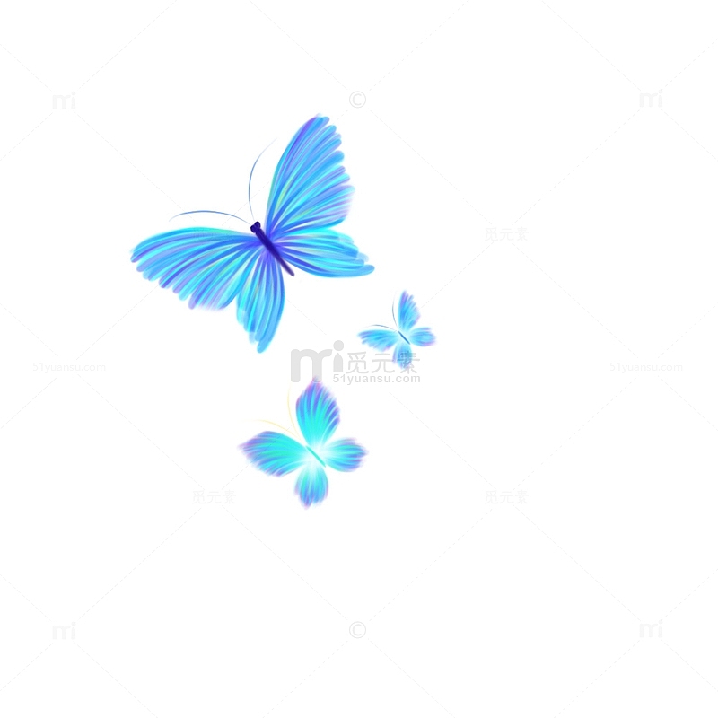 蓝色蝴蝶 昆虫