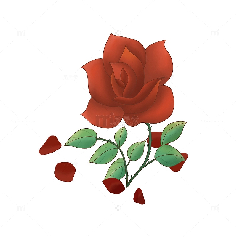 玫瑰花 植物元素 红玫瑰