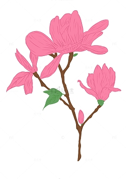 粉色小清新花朵