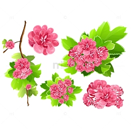 春天花朵鲜花绿叶树枝花束花团
