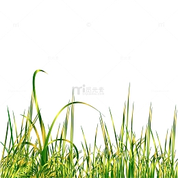 春天春季草地草丛装饰元素草地