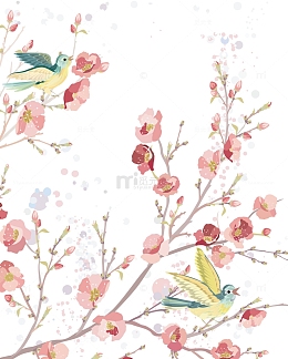 水彩画鸟桃花樱花春天花朵古风复古