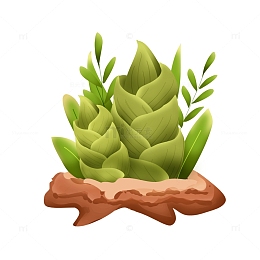 矢量手绘春天春笋装饰元素