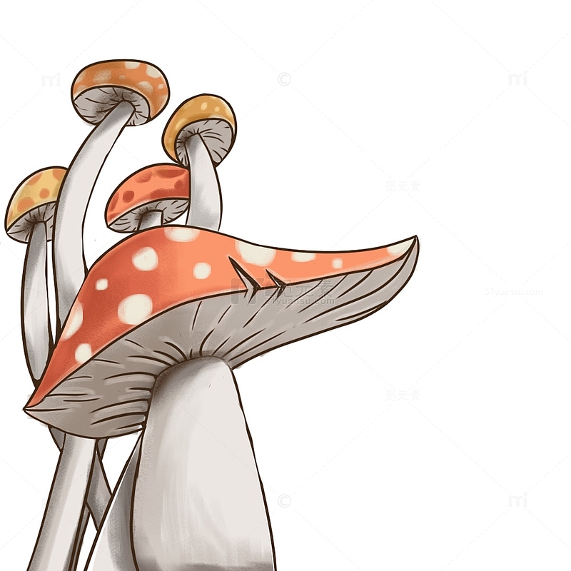 红色蘑菇手绘风植物元素菌菇类