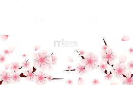 春天春季花朵花枝桃花樱花花瓣漂浮