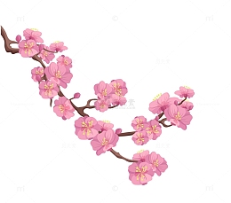 春天春季春分树枝花朵桃花樱花花枝