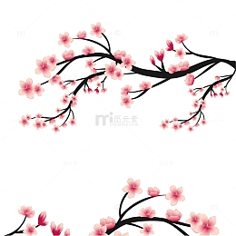 春天春季春分树枝桃花花枝花瓣古风复古