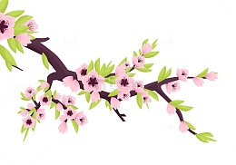 春天春季春分树枝花朵桃花花枝