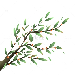 手绘春天绿色植物树枝惊蛰树叶元素