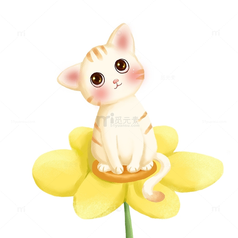 白色可爱猫咪坐在花上仰望主人